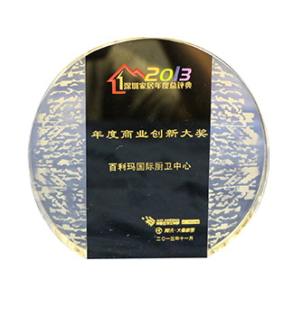 2013年度商业创新大奖